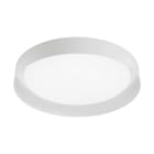 LINEA LIGHT (ILED) - ILDCA126AWHWDI CREW2 D520 38W TEXT WHITE