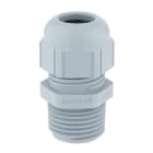 LAPP ITALIA SRL - LPP53110076 SKINTOP ST NPT 3/8 RAL 7001 SGY 10PC