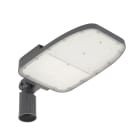 LEDVANCE - LDVSLAREAL120765 STREETLIGHT AREA LARGE RV35ST 120W 765 RV35ST GY
