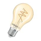 LEDVANCE - LDVLED836600 Vintage 1906 LED CLASSIC A,B,P SLIM FILAMENT DIMMABLE