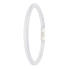 LEDVANCE - LDVPT5EXTFC228402 LEDT5 FC22 EXT P 11.6W 840 2GX13 LEDV