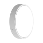 LEDVANCE - LDVBLKRD25010CPSW BULKHEAD ROUND