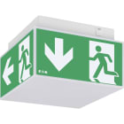 EATON - EAO40071353420 EXIT CUBE LED 33822 1/3/8H SA/SE 20M CGL