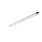 SIGNIFY ITALY SPA - PHA94737599 CoreLine tubolare impermeabile, 39 W, L1200 mm, 5000 lm, 4000 K, Fascio extra largo, Opale, IP68, IK10, TW1