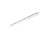 SIGNIFY ITALY SPA - PHA96256200 CoreLine Stagna, 30.5 W, L1200 mm, 4000 lm, 4000 K, Dimmer basato su sensore, Fascio largo, Smerigliata, MDU1, IP65, IK08, TW1-ready