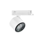LINEA LIGHT (ILED) - ILDC00434WHWWF OPTUS-T V2 3 18WAC SPECIALTY WH