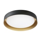 LINEA LIGHT (ILED) - ILDCA126AX2WDI CREW2 D520 W38 T BLACK PAINT GOLD