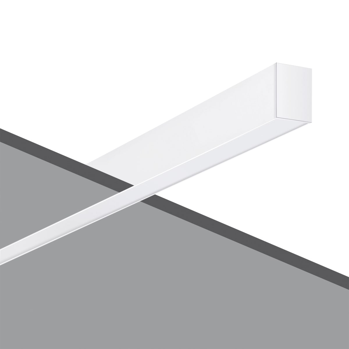 PERFORMANCE IN LIGHT - PRI3109603 SL764+ RE L 11 S/A 830 WH9016 OP