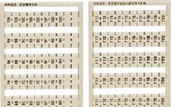 WAGO ITALIA SRL - WAG209-995 SCHEDA DI MARCATURA WSB COME SCHEDA, BIA