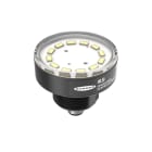 TURCK BANNER SRL - TUK30810670 WL50-3WQ