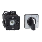 SCHNEIDER ELECTRIC - SNRK2B002ACH Interruttore a camme - 2 poli - 45° - 20 A - Per Ø 22 mm