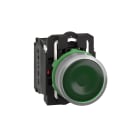 SCHNEIDER ELECTRIC - SNRXB5AW33G5C0 Pulsante luminoso verde Ø22 - filoghiera ad impulso - ghiera grigia-120Vac - 1NO+1NC- LED universale