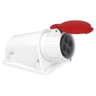 SCHNEIDER ELECTRIC - SNRPKF32W434 Presa BT da parete small IP44 32A 380V 3P+T