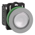 SCHNEIDER ELECTRIC - SNRXB5FW31G5C0 Pulsante luminoso bianco 120Vac NO+NC filopannello grigio - Ø30 - LED universale