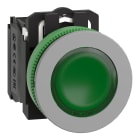 SCHNEIDER ELECTRIC - SNRXB5FW33M5C0 Pulsante luminoso verde 230Vac NO+NC filopannello grigio - Ø30 - LED universale