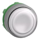 SCHNEIDER ELECTRIC - SNRZB5AH13C0 TESTA PULSANTE LUM. BIANCO GHIERA GRIGIA