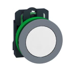 SCHNEIDER ELECTRIC - SNRXB5FA11C0 PULS. BIANCO A FILO 1NO GHIERA GRIGIA