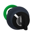 SCHNEIDER ELECTRIC - SNRZB5FG6D Testa selettore a chiave 2 pos.Ø30mm