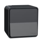 SCHNEIDER ELECTRIC - SNRMUR35033 MUREVA INTERRUTTORE 2P 16AX