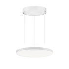 PERFORMANCE IN LIGHT - PRI3124294 FL R+ 333 PL 8/23 S/A 830 WH9016 OP