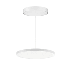 PERFORMANCE IN LIGHT - PRI3124309 FL R+ 333 PL 8/23 S/A 8TW WH9016 DT8 OP