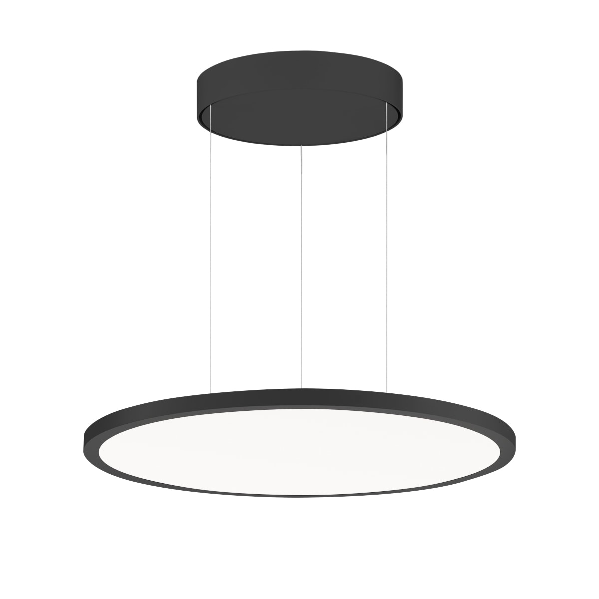 PERFORMANCE IN LIGHT - PRI3123957 FL R+ 555 RE 19 S/A 840 BK9005 DALI OP