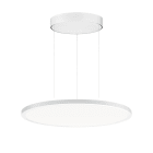 PERFORMANCE IN LIGHT - PRI3123944 FL R+ 555 PL 44 S/B 8TW WH9016 DT8 OP