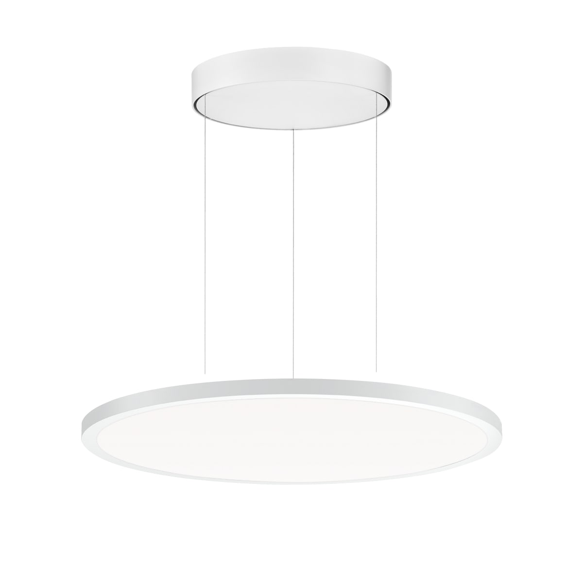 PERFORMANCE IN LIGHT - PRI3124334 FL R+ 555 PL 19 S/A 8TW WH9016 DT8 OP