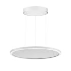 PERFORMANCE IN LIGHT - PRI3124333 FL R+ 555 PL 19 S/A 8TW WH9016 DT8 MP