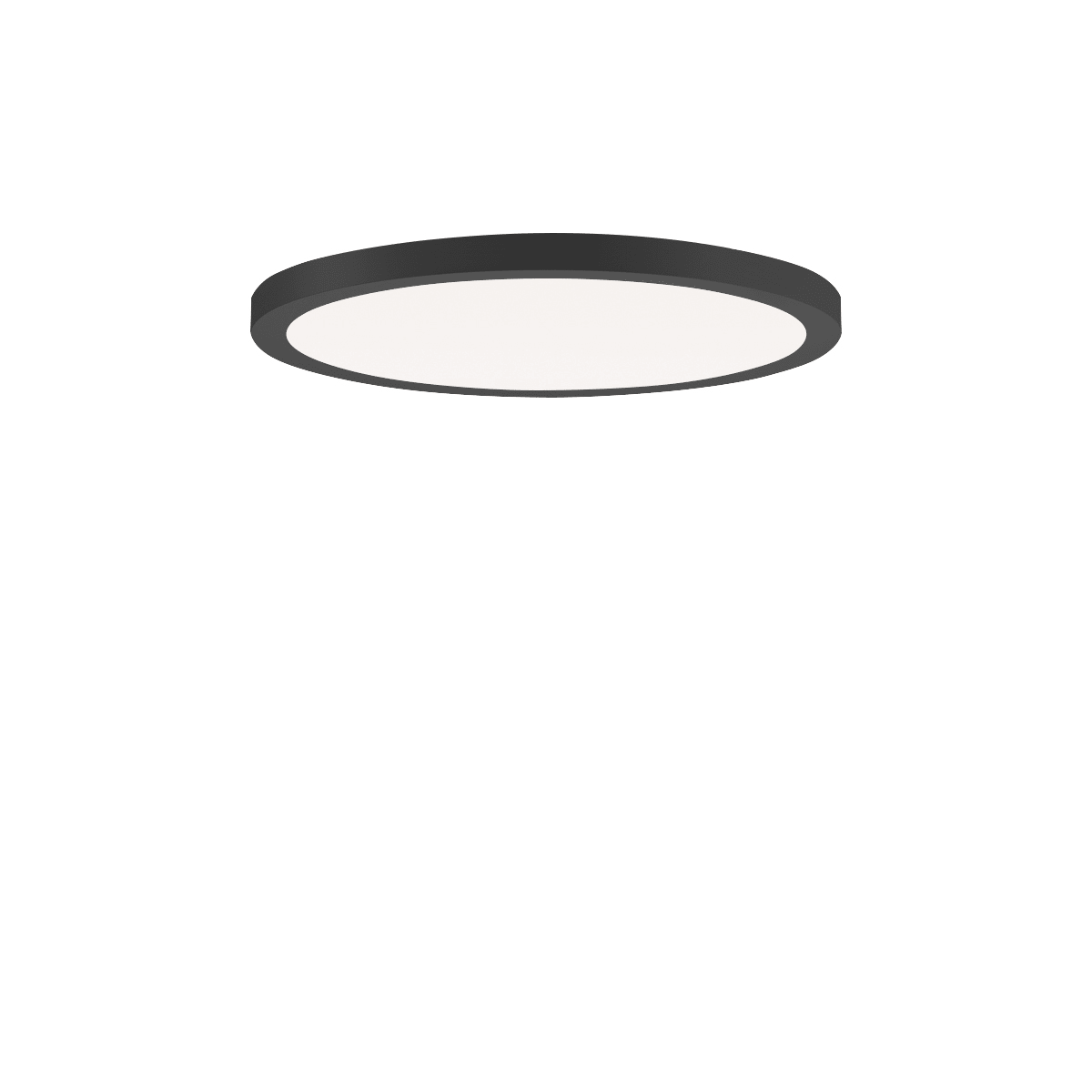PERFORMANCE IN LIGHT - PRI3123865 FL R+ 333 RE 8/23 S/A 8TW BK9005 DT8 OP