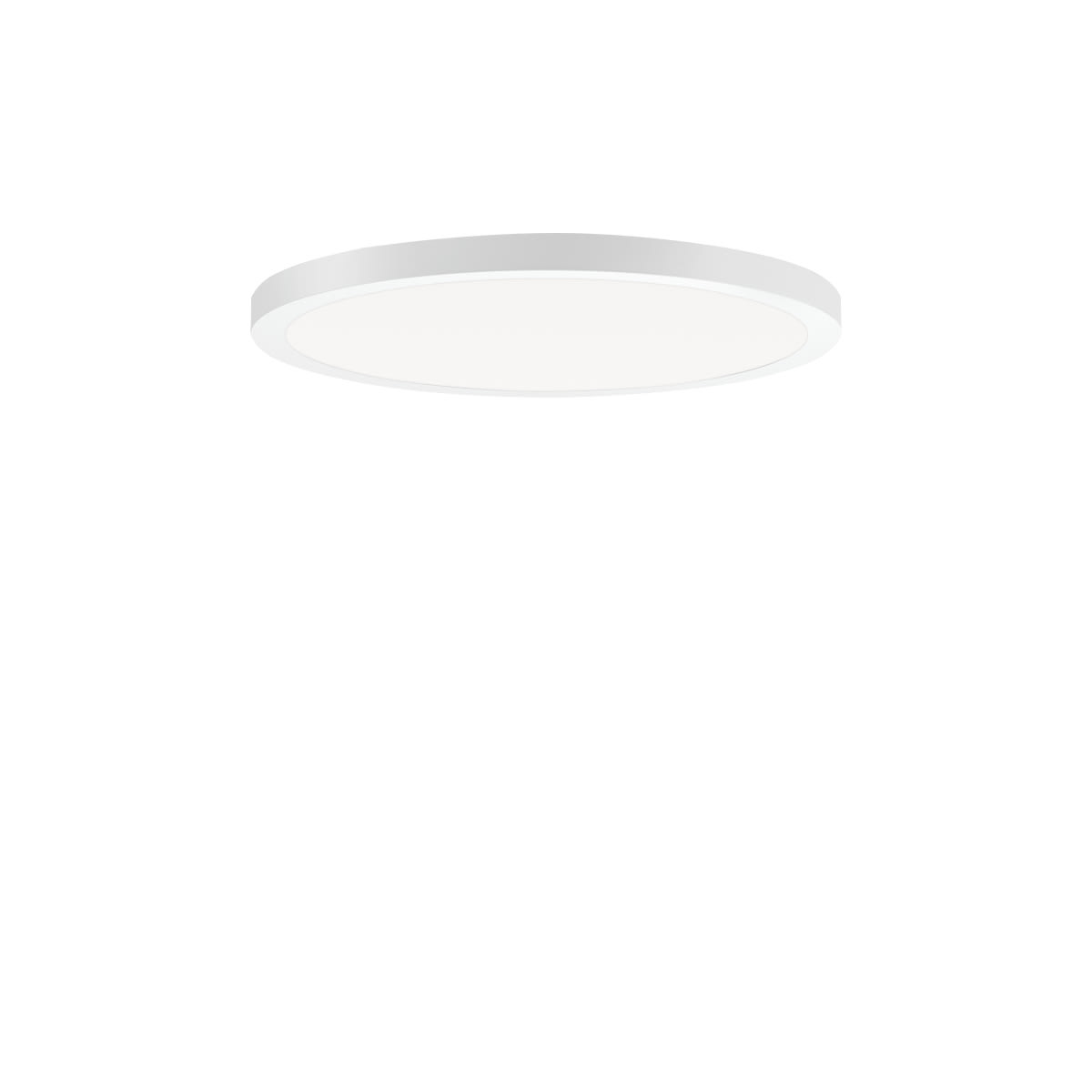 PERFORMANCE IN LIGHT - PRI3123852 FL R+ 333 RE 8/23 S/A 830 WH9016 DALI OP