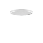 PERFORMANCE IN LIGHT - PRI3123851 FL R+ 333 RE 8/23 S/A 830 WH9016 DALI MP