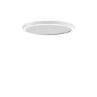 PERFORMANCE IN LIGHT - PRI3123863 FL R+ 333 RE 8/23 S/A 840 WH9016 MP