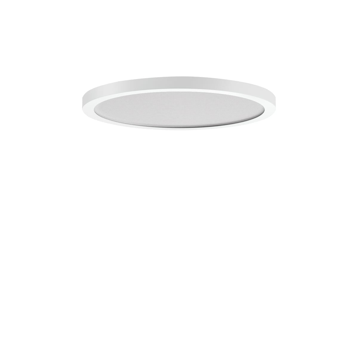 PERFORMANCE IN LIGHT - PRI3123851 FL R+ 333 RE 8/23 S/A 830 WH9016 DALI MP