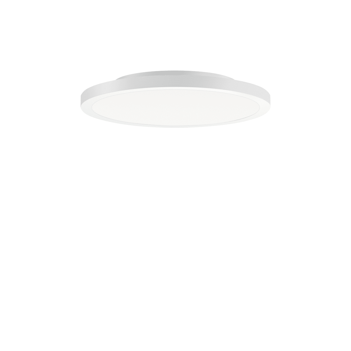 PERFORMANCE IN LIGHT - PRI3123877 FL R+ 333 SM 8/23 S/B 830 WH9016 DALI OP