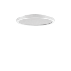 PERFORMANCE IN LIGHT - PRI3123893 FL R+ 333 SM 8/23 S/B 8TW WH9016 DT8 MP