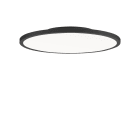 PERFORMANCE IN LIGHT - PRI3123998 FL R+ 555 SM 19 S/B 830 BK9005 OP