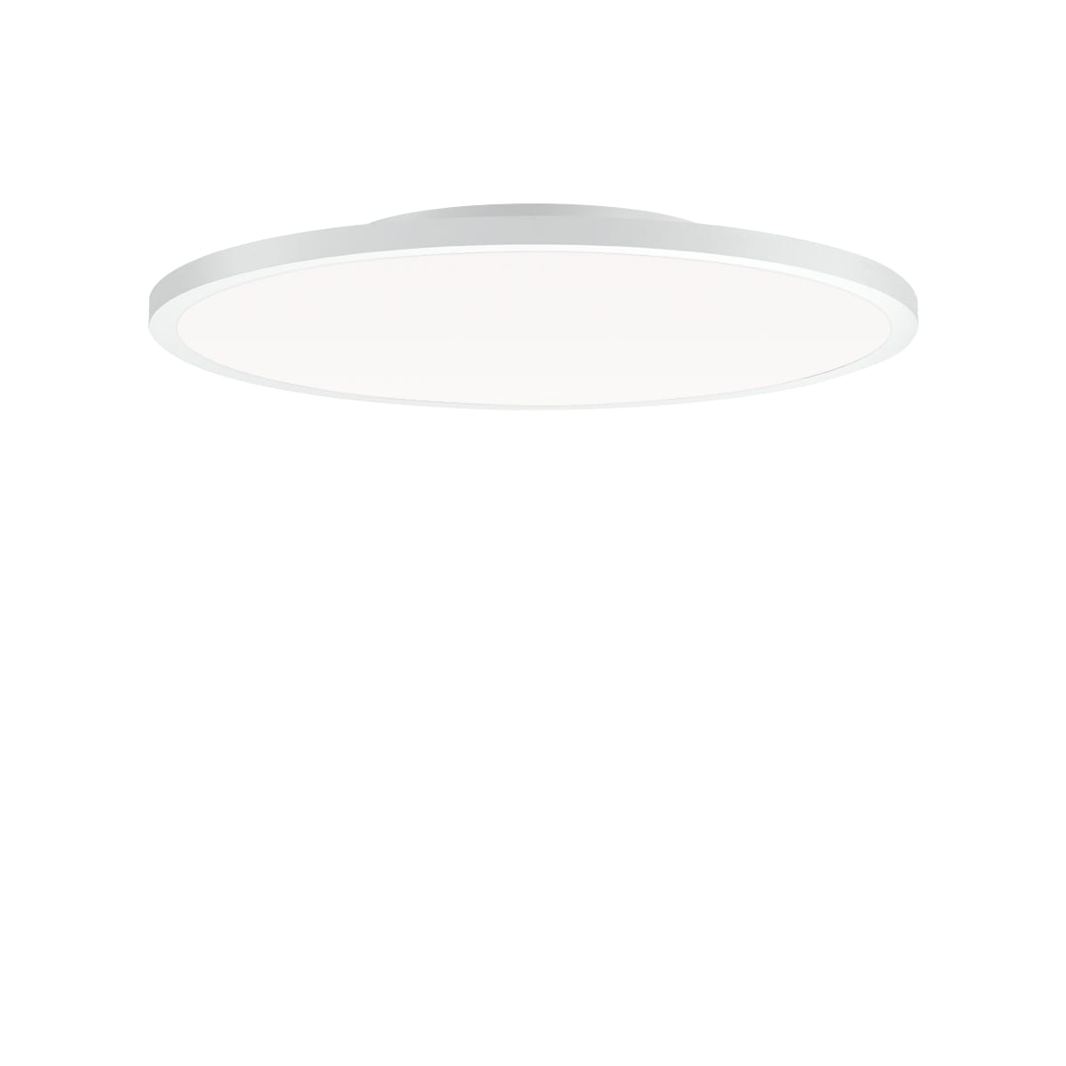PERFORMANCE IN LIGHT - PRI3124004 FL R+ 555 SM 19 S/B 830 WH9016 DALI OP