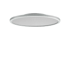 PERFORMANCE IN LIGHT - PRI3124024 FL R+ 555 SM 44 S/B 830 GR9006 DALI MP