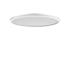 PERFORMANCE IN LIGHT - PRI3124045 FL R+ 555 SM 44 S/B 8TW WH9016 DT8 MP