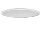 PERFORMANCE IN LIGHT - PRI3124155 FL R+ 777 SM 34 S/B 830 WH9016 MP