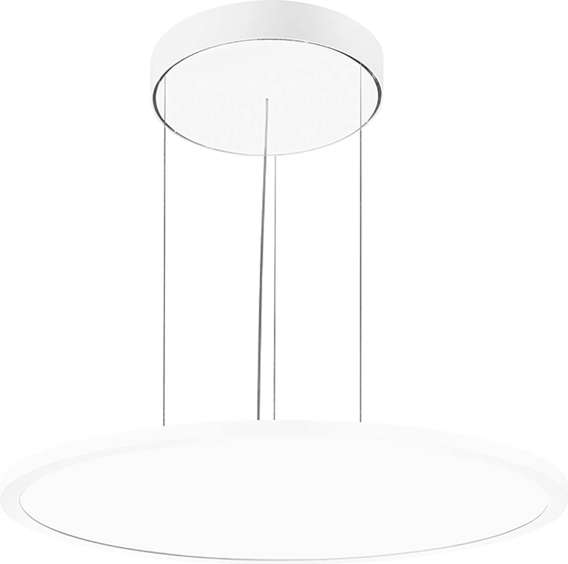 PERFORMANCE IN LIGHT - PRI8555491513410 FL R 555 PL 45 S/B 840 WH9016 OP