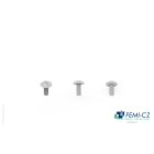 FEMI-CZ SPA - FCZD0C13L06X20D VITE T.BOMB. M6X20 GEOMET 100PZ D