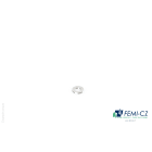 FEMI-CZ SPA - FCZD0I36S10X21J ROS.PIANA D.10(21) AISI 304 100PZ I