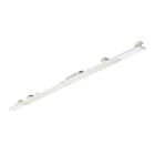 SIGNIFY ITALY SPA - PHA44055599 Maxos Universal, 36 W, L1517 mm, 5700 lm, 4000 K, Fascio largo, Testurizzata, Bianco, IP20