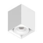 NOVALUX SPA - NOX108002.01 OWL QDR: 1X8W F36 BI 3K CRI90