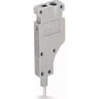 WAGO ITALIA SRL - WAG249-142 MODULO TERMINALE TIPO L MODULARE CON PIN