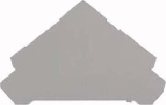 WAGO ITALIA SRL - WAG280-320 PIASTRA TERMINALE E INTERMEDIA SPESSA 1