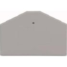 WAGO ITALIA SRL - WAG281-312 PIASTRA TERMINALE E INTERMEDIA SPESSORE