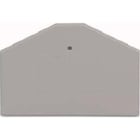 WAGO ITALIA SRL - WAG281-312 PIASTRA TERMINALE E INTERMEDIA SPESSORE